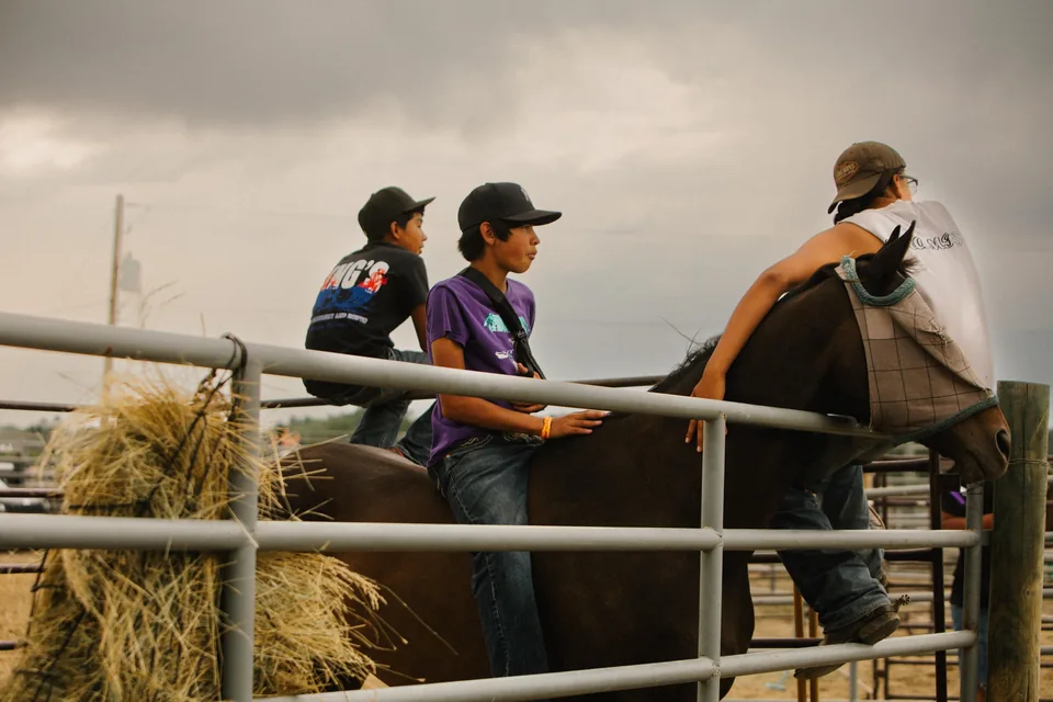 Three team members talk beside a horse behind a metal fence.