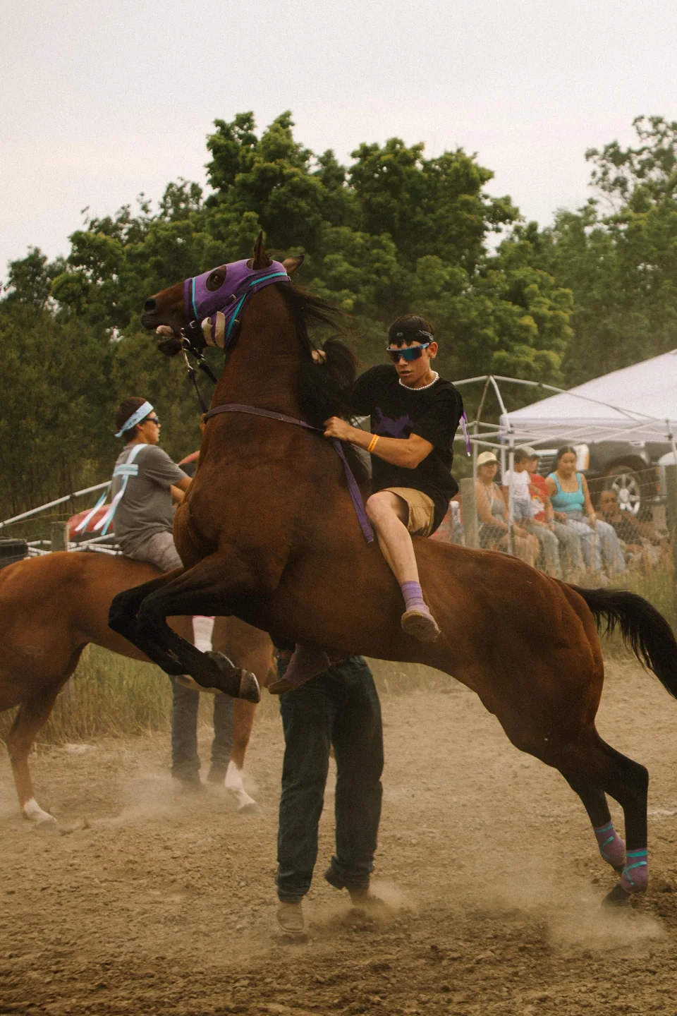 A bareback rider holds the reins as a brown horse rears on the track.