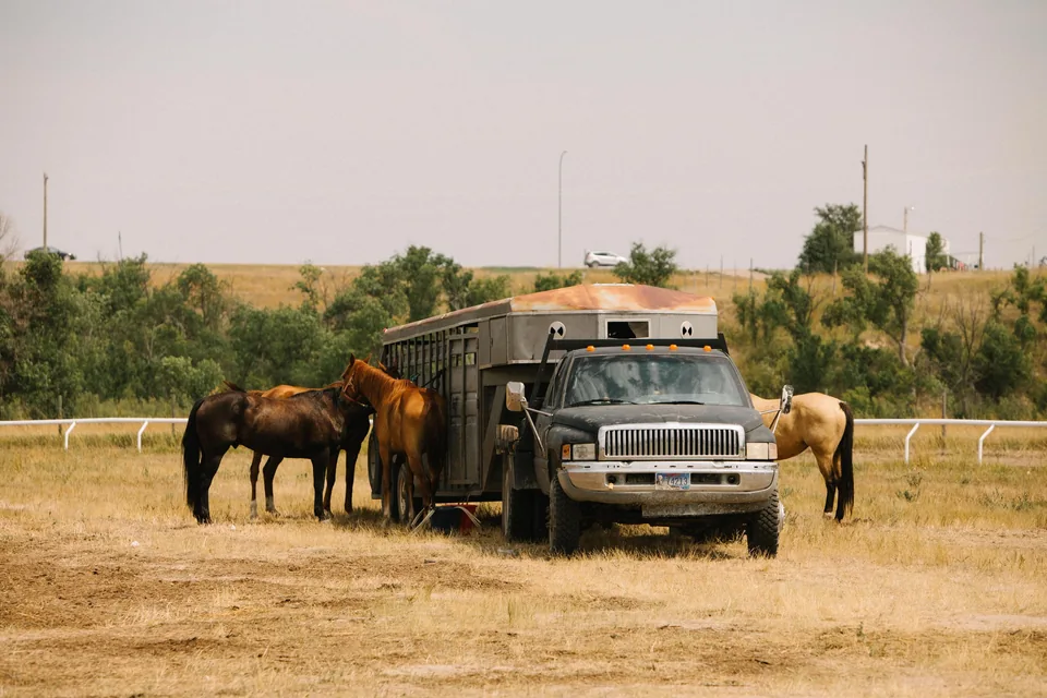 Horses stand around a parked pickup and trailer at the relay grounds.