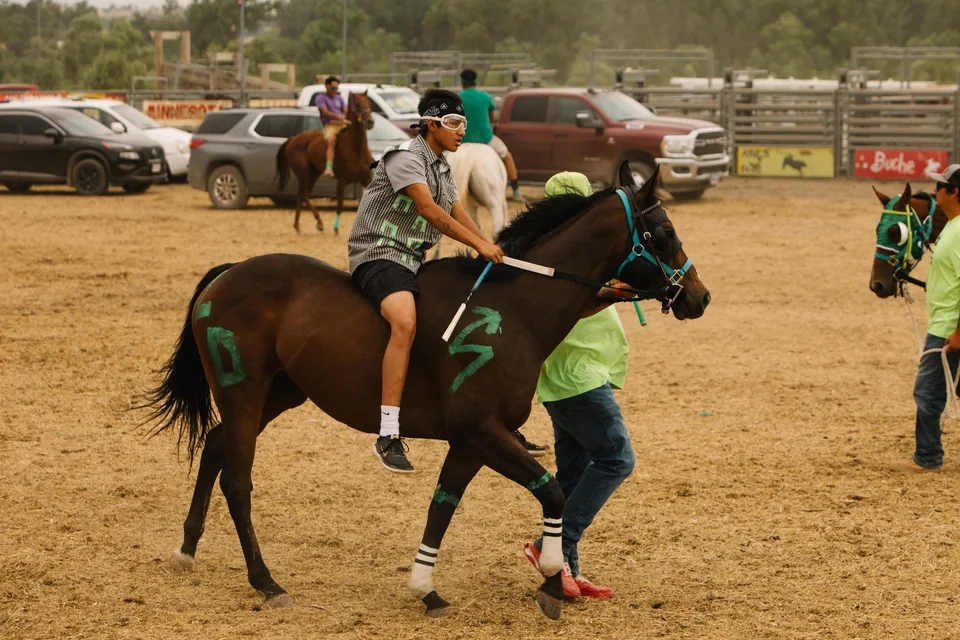 A mounted rider and horse holder prepare a brown horse with green painted markings.