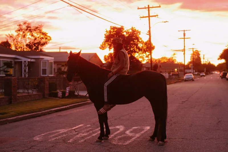 A horse and rider standing on a residential street beneath a glowing sunset.