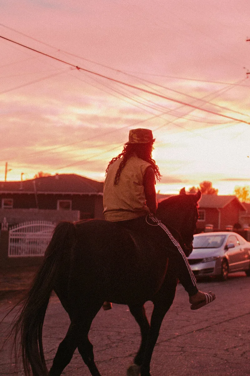 A horse rider seen from behind as the sun sets over a residential street.