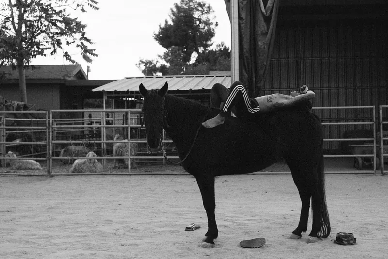 Black-and-white photograph of a person reclining across a horse's back in a paddock.