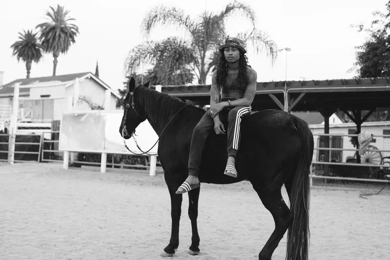 A rider seated on a horse in a paddock lined with palm trees, in black and white.