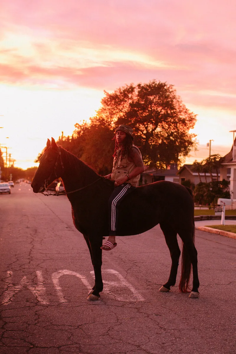 A rider on a dark horse beneath a pink sunset sky on a residential street.