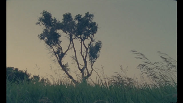This Is Where My Life Is — A film by Charlie Buhler